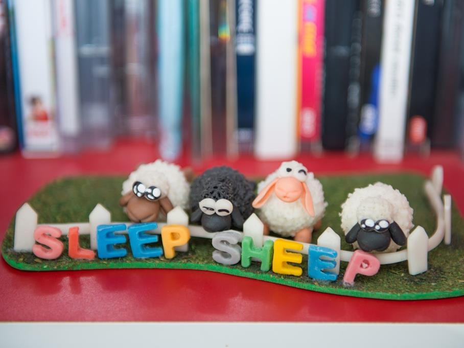 Sleep Sheep Phuket Hostel Sha Exterior photo